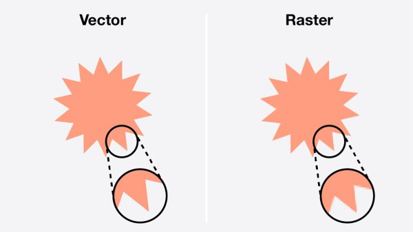 وکتور چیست؟🤔 - کاربردها، نرم‌‎افزارهای وکتوری، نحوه ویرایش و ذخیره سازی