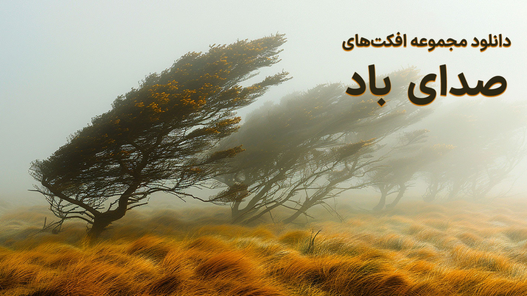 افکت صدای باد- وزش باد میان درختان